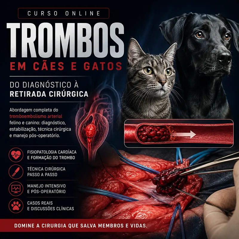 Trombos em Cães e Gatos